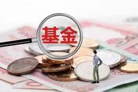 无惧市场震荡 机构:逢低布局正当时